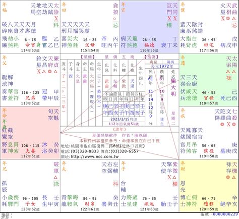 星僑紫微命盤 銀可以避邪嗎